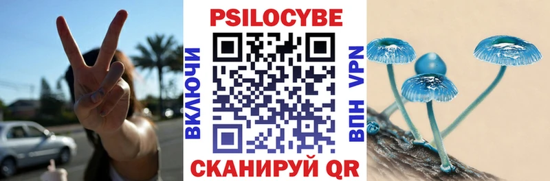 Псилоцибиновые грибы прущие грибы  mega зеркало  даркнет наркотические препараты  Микунь 